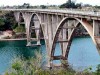 Puente rio Canimar