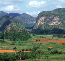 Mogotes de Viñales